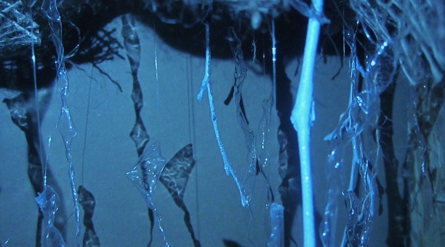 Unsilent Night | Winter Canopy