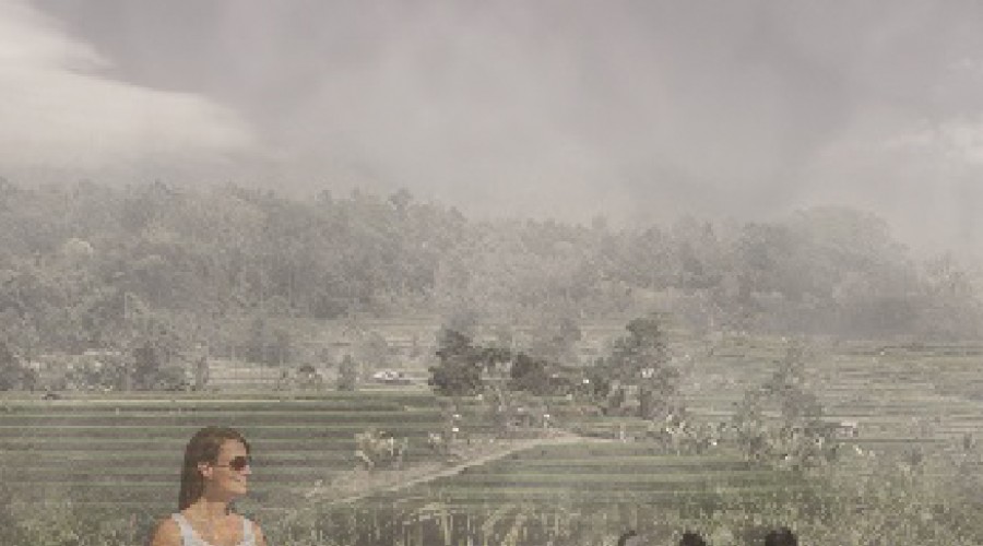 THESIS WORK / Pulsing Territories / Nashin Mahtani