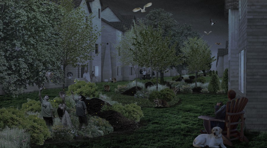 THESIS: Synanthropic Suburbia