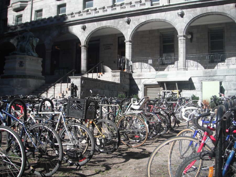 Bikes everywhere