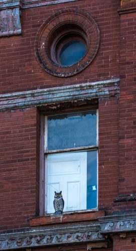 Brick façade detail