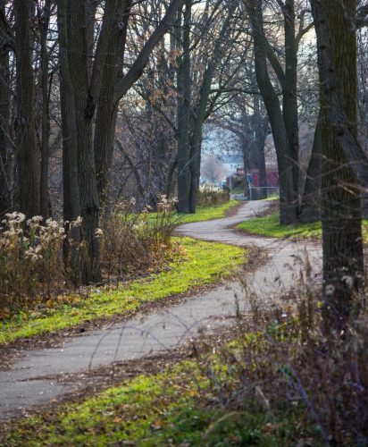 Winding pathway in late fall/early winter, looking towards downtown Cambridge