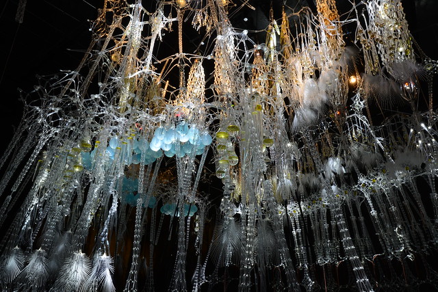 EpiphyteChamberDSC_5367 (2)